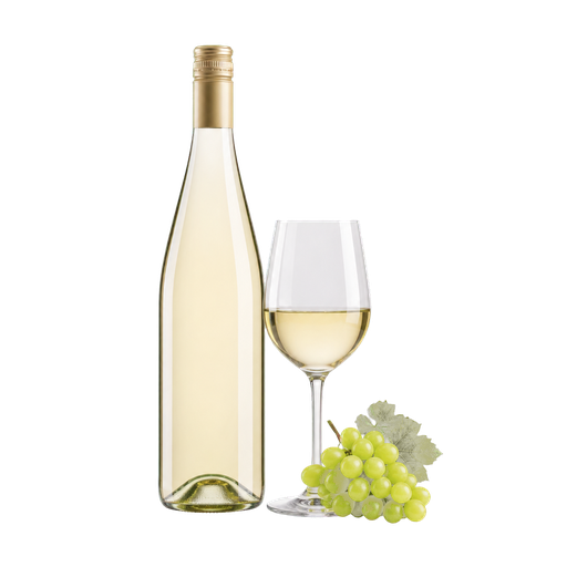 Grüner Veltliner sticker illustration
