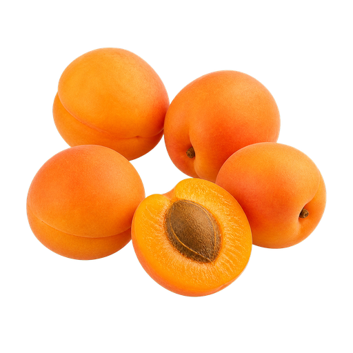 Wachau Apricot sticker illustration