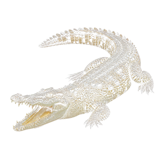 Crocodile Meat sticker illustration