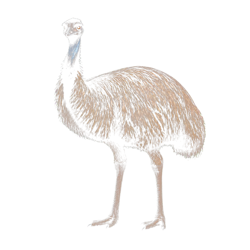Emu Meat sticker illustration