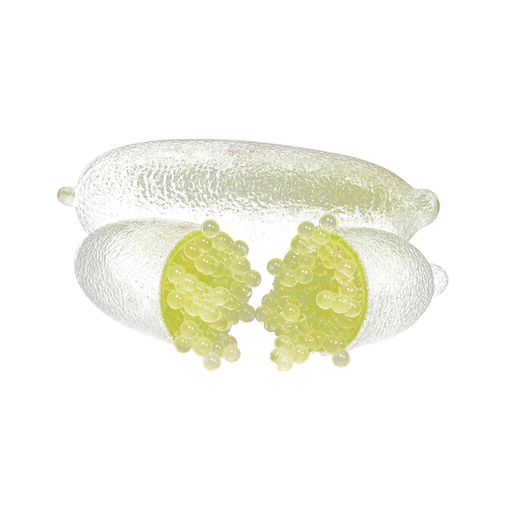 Finger Lime sticker illustration