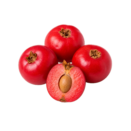 Quandong sticker illustration