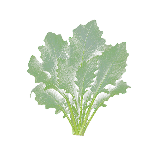 Warrigal Greens sticker illustration