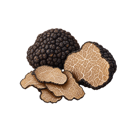 Black summer truffle sticker illustration