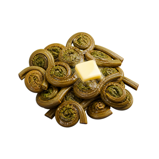 Fiddleheads sticker illustration