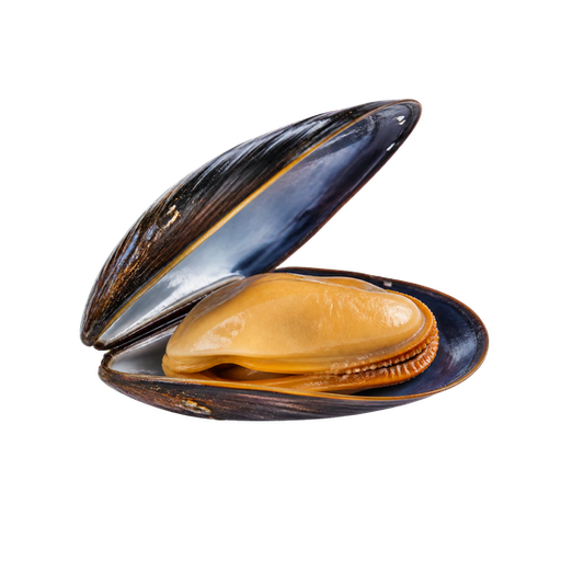 PEI Mussels sticker illustration