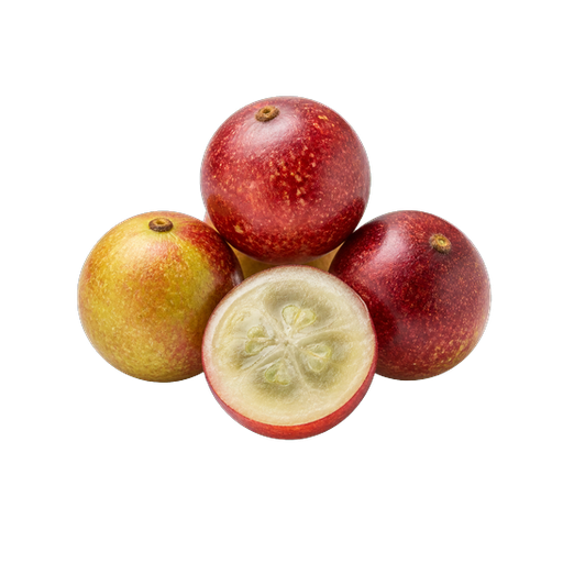 Camu Camu sticker illustration