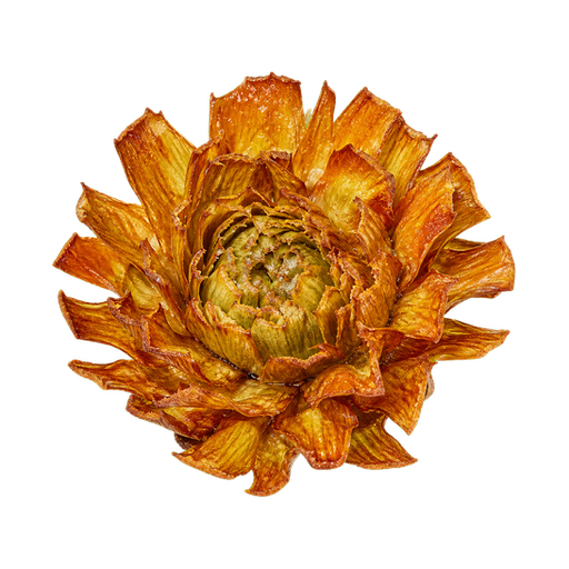 Carciofi alla Giudia sticker illustration