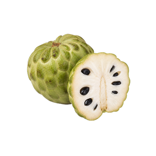 Cherimoya sticker illustration