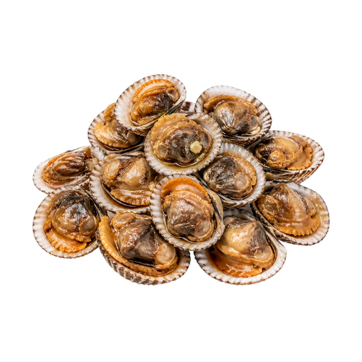 Cockles sticker illustration