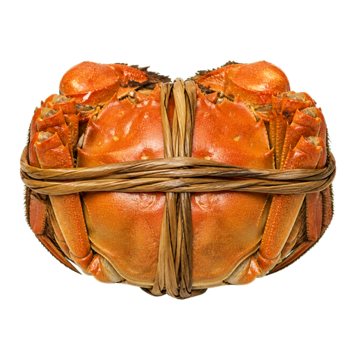 Hairy Crab sticker illustration