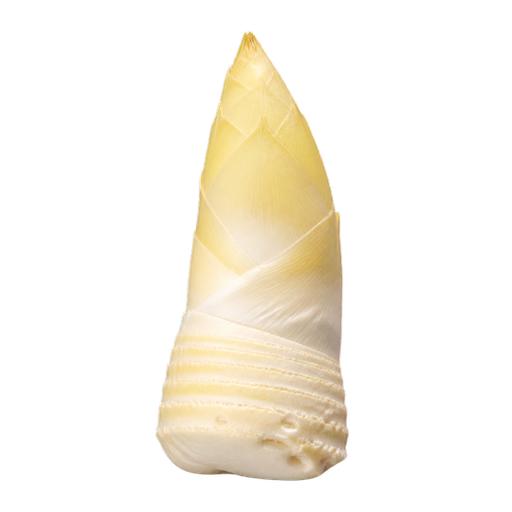 Bamboo Shoot sticker illustration