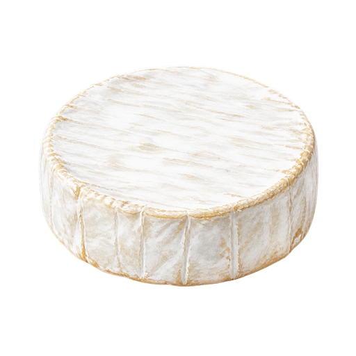 Camembert sticker illustration