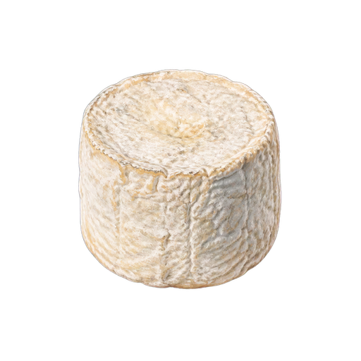 Crottin de Chavignol sticker illustration