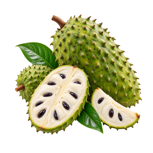 Guanábana (Soursop) sticker illustration
