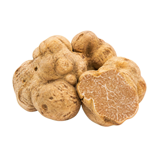 Istrian White Truffle sticker illustration