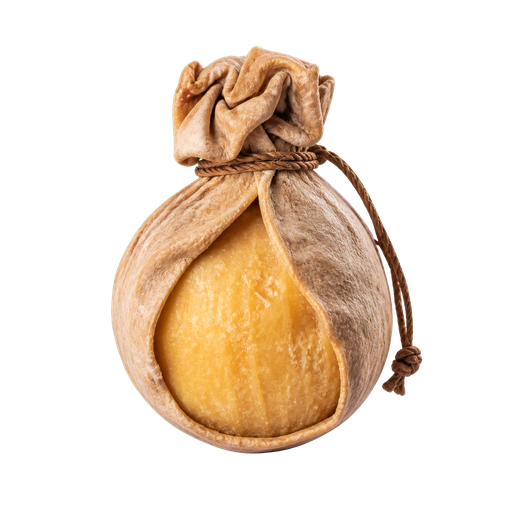 Cheese in Sheepskin sticker illustration