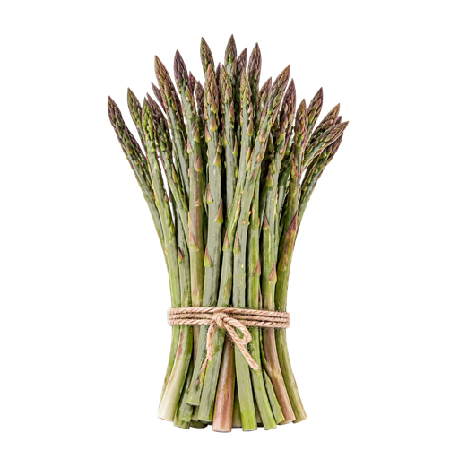 Wild Asparagus sticker illustration