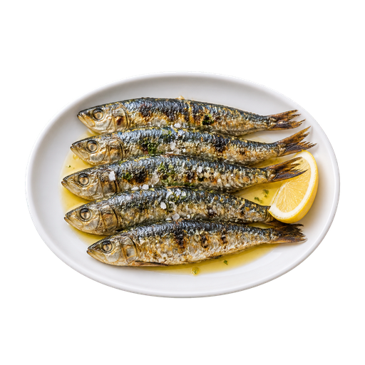 Sardines sticker illustration