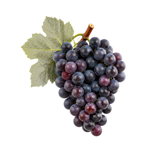 Humagne Rouge sticker illustration
