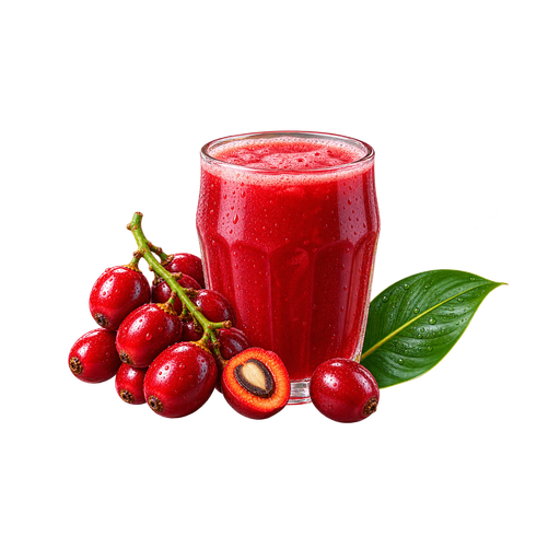 Jugo de Corozo sticker illustration