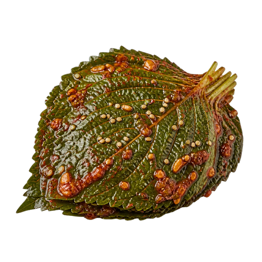 Perilla Leaf Kimchi sticker illustration