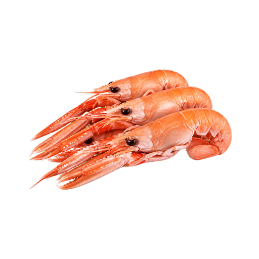 Langostinos Patagónicos sticker illustration