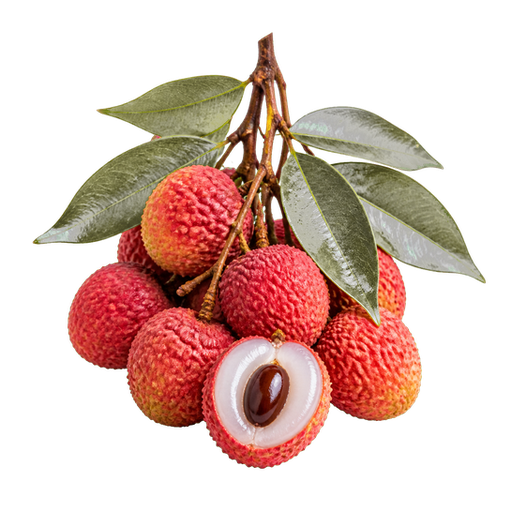 Lychee sticker illustration
