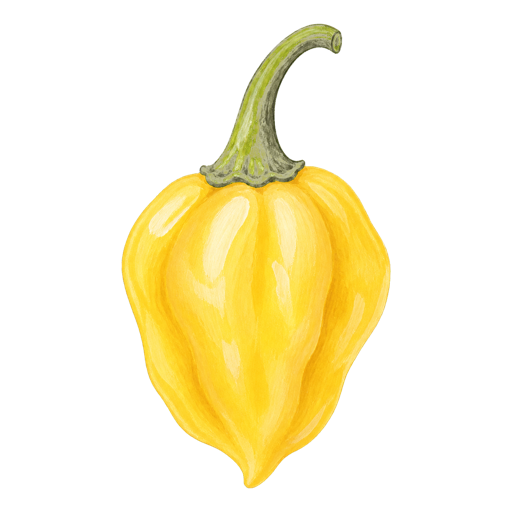 Madame Jeanette Pepper sticker illustration