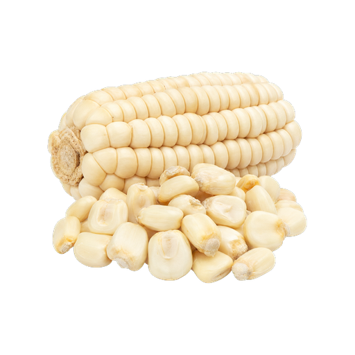 Cusco Giant White Maize sticker illustration