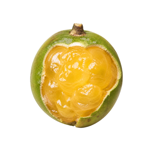 Dominican Limoncillo sticker illustration