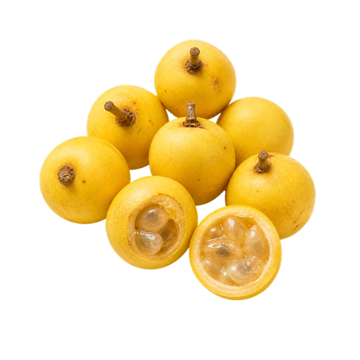 Marula Fruit sticker illustration