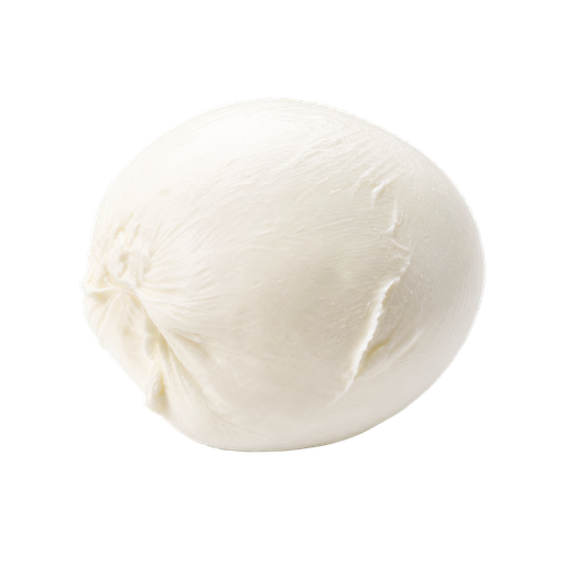 Mozzarella sticker illustration