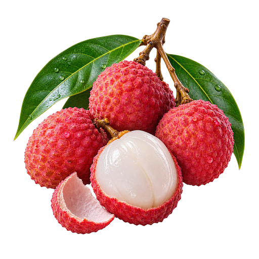 Mauritian Lychee sticker illustration