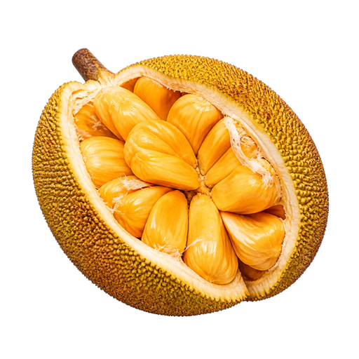 Cempedak sticker illustration