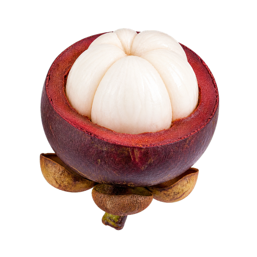 Mangosteen sticker illustration