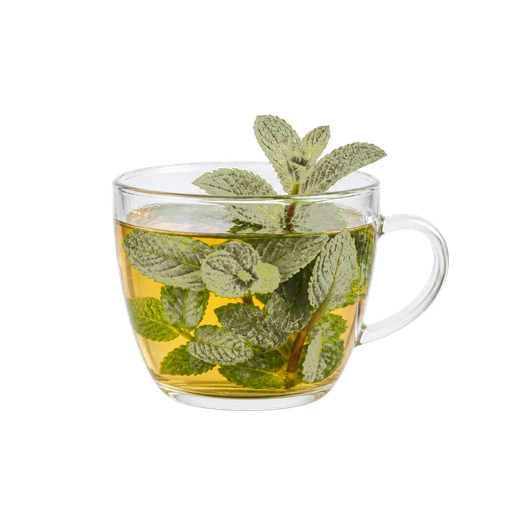 Mint Tea sticker illustration