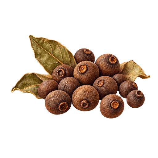 Pimento sticker illustration