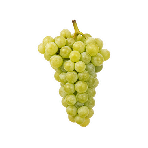 Räuschling sticker illustration
