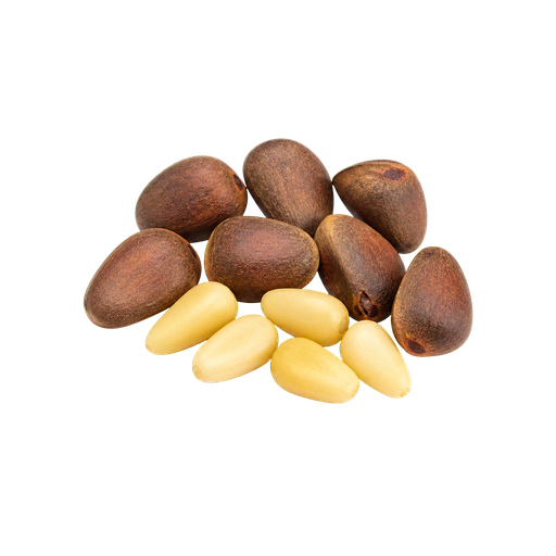 Cedar Nuts sticker illustration