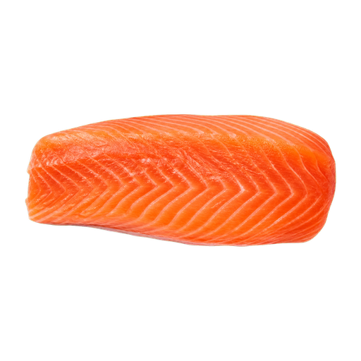 Salmón Patagónico sticker illustration