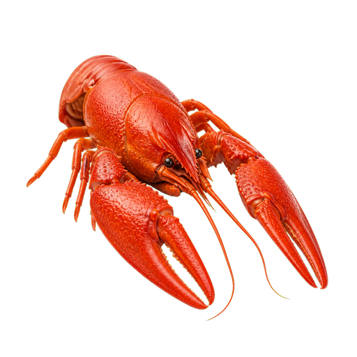 Crayfish sticker illustration