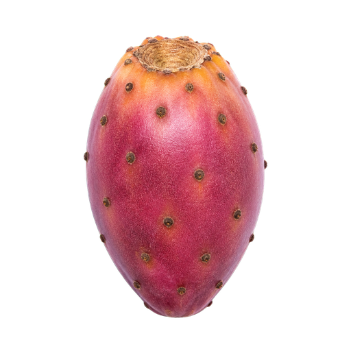 Sabra Fruit sticker illustration