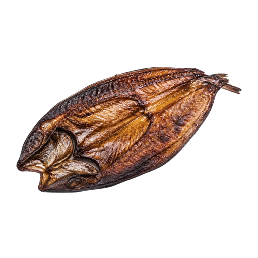 Snoek sticker illustration