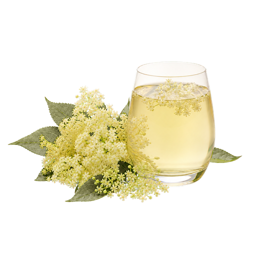 Elderflower Drink sticker illustration