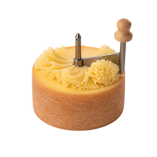 Tête de Moine sticker illustration