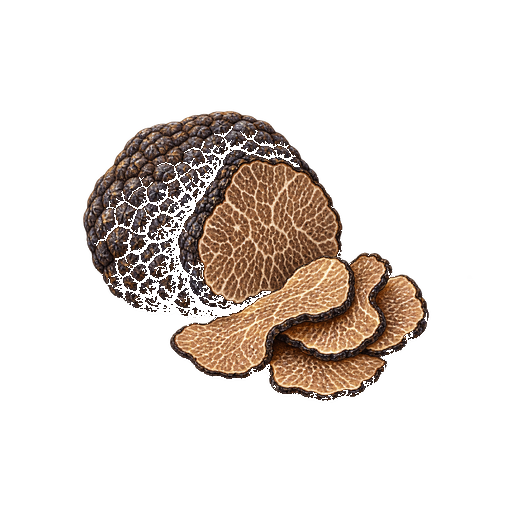 Périgord Black Truffle sticker illustration