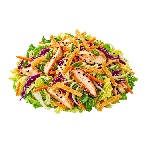 Chinese Chicken Salad sticker illustration