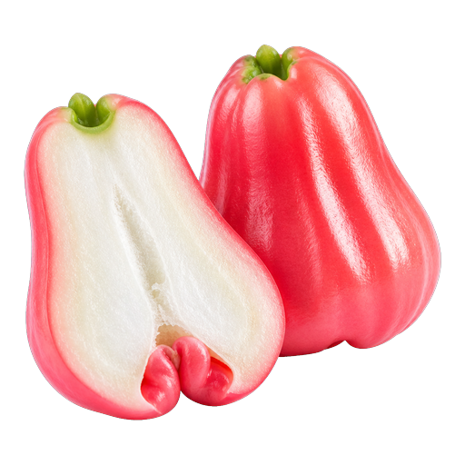 Wax Apple sticker illustration