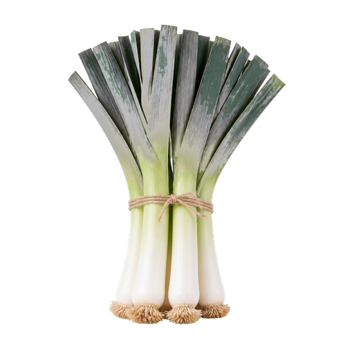 Welsh Leeks sticker illustration